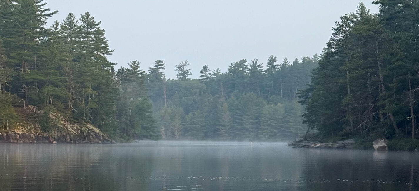 Fishing, anyone?